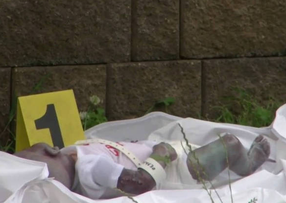 'Bebê' encontrado 'morto' do lado de fora de parque era boneca reborn
