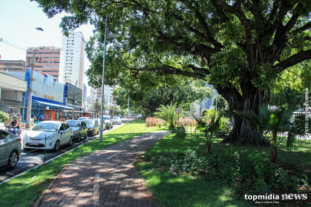 Patrimônio verde de Campo Grande foi construído com apoio de projeto na década de 70