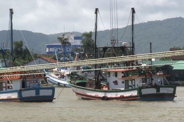 Ministério cancela 300 licenças de pescadores por irregularidades