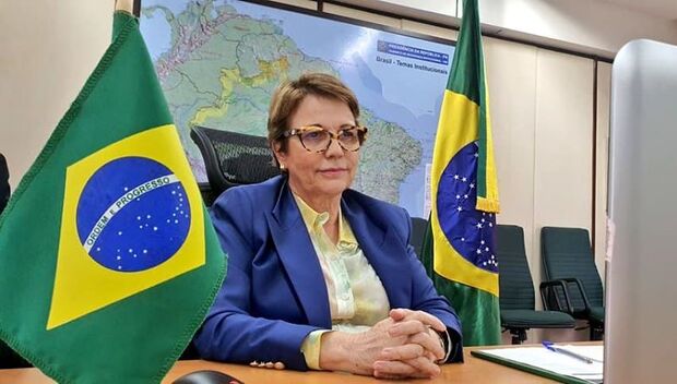 Intrigas entre Bolsonaro e DEM podem minar cargo de ministra de Tereza Cristina