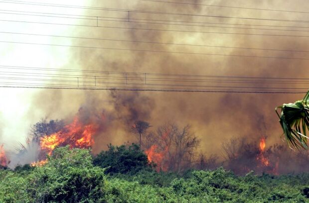 Incêndios no Pantanal fazem Reinaldo Azambuja decretar estado de emergência na região