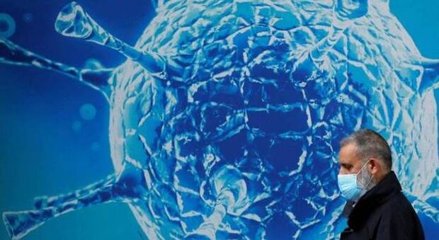 Estudo diz que dengue pode fornecer imunidade contra a covid-19