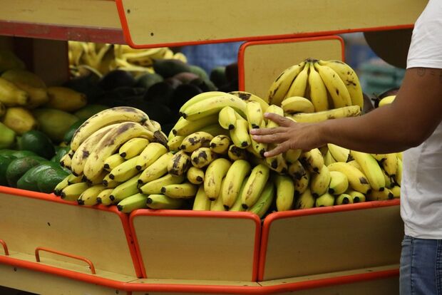 Nem macaco quer: banana se torna vilã e é achada até por R$ 8 em Campo Grande