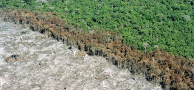 Desmatamento na Amazônia Legal aumentou 16% em um ano