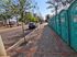 Pra&ccedil;a ficou limpa ap&oacute;s ato com 5 mil pessoas