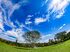 No entardecer, Campo Grande fica deslumbrante