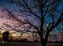 No entardecer, Campo Grande fica deslumbrante