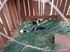 Animal doente resgatado na ação policial