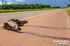 Animal está nas margens da pista