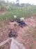 Morador denuncia abandono de cadeiras de rodas em rua no Jardim Veraneio, em Campo Grande