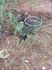 Morador denuncia abandono de cadeiras de rodas em rua no Jardim Veraneio, em Campo Grande