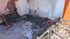 Homem teria ficado transtornado ao saber das mortes de seus pets