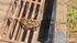 Bueiros vivem com &aacute;gua parada no Montevid&eacute;u