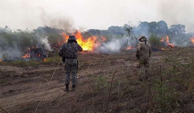 Pantanal viveu um dos seus piores momentos com as queimadas em 2020