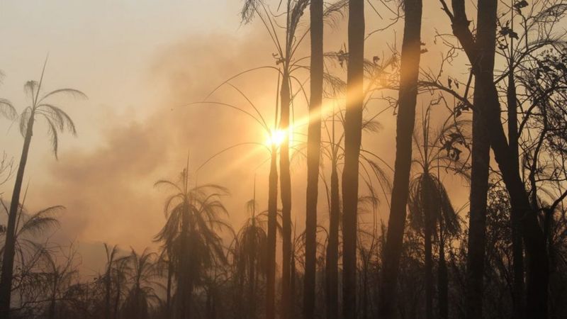 Serra do Amolar foi uma das mais castigadas pelas queimadas