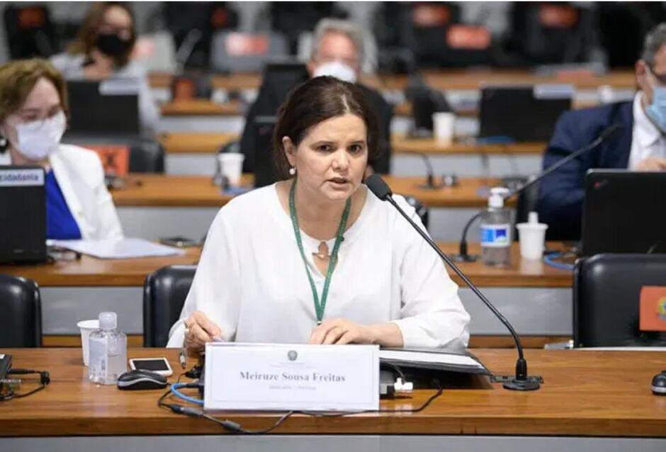 Meiruze Sousa Freitas, relatora e diretora da Anvisa