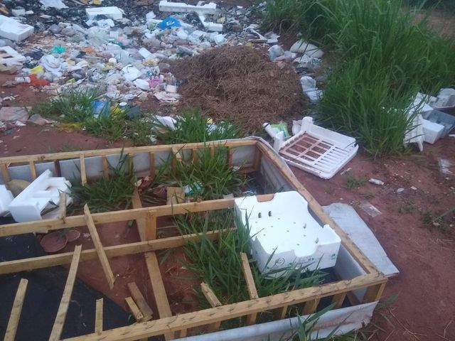 Acumulado de lixo incomoda moradores do Nova Lima