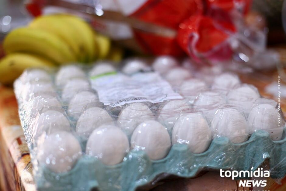 Produção de ovos aumentou em MS