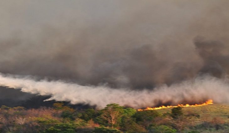 No ano passado o fogo consumiu cerca de 30% do território pantaneiro, o equivalente a mais de 4 milhões de hectares