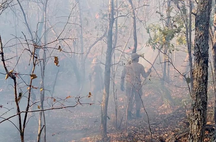 Incêndios florestais é a grande preocupação dos Bombeiros em MS