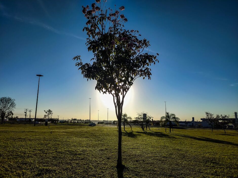 Em Campo Grande, o tempo fica firme com predomínio de sol