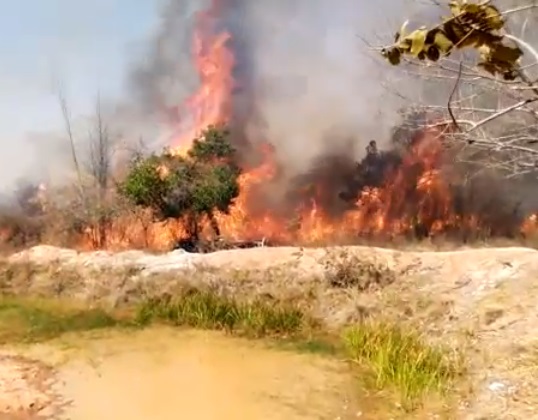 Morador se desespera com tanto fogo