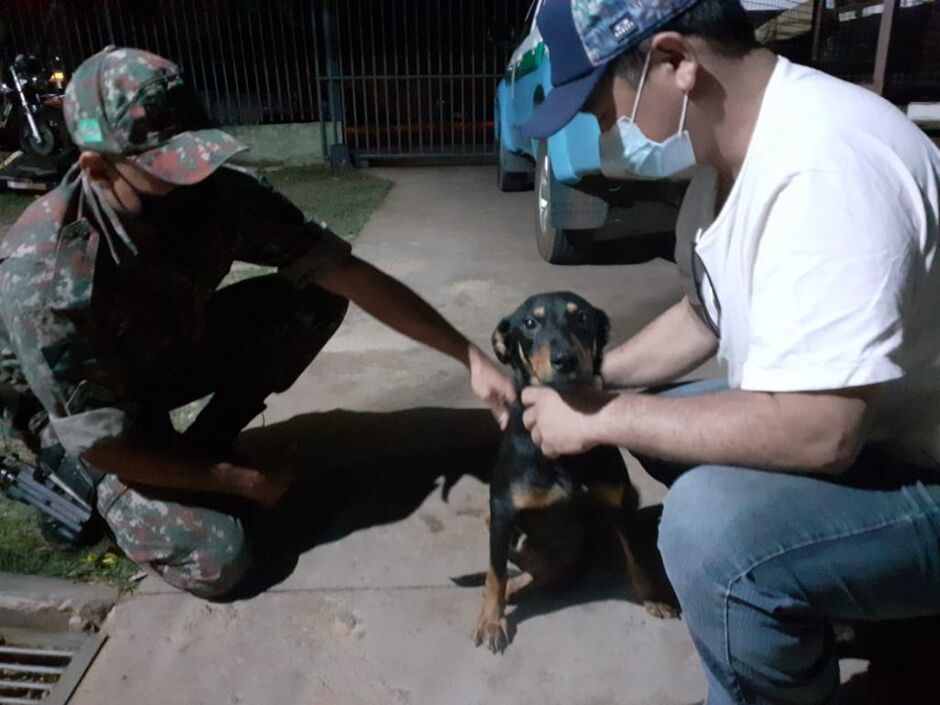 Policiais fizeram o resgate do cãozinho que ficou abandonado por alguns dias