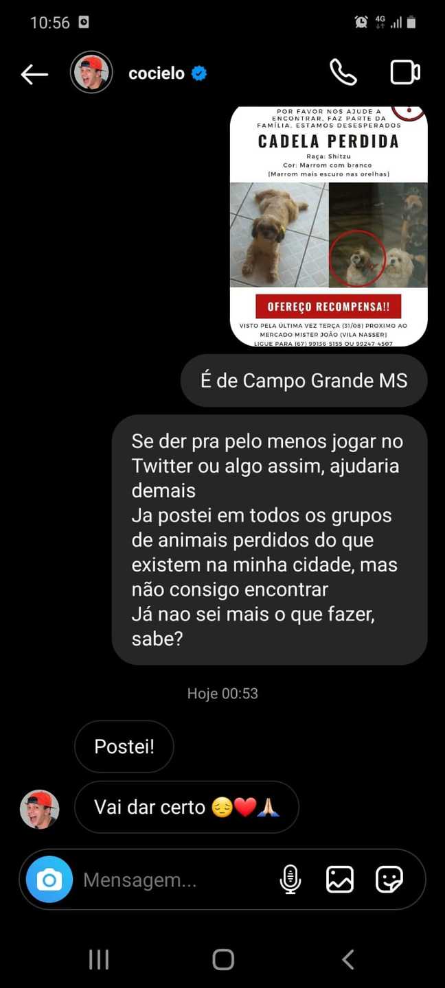 Cadelinha está desaparecida