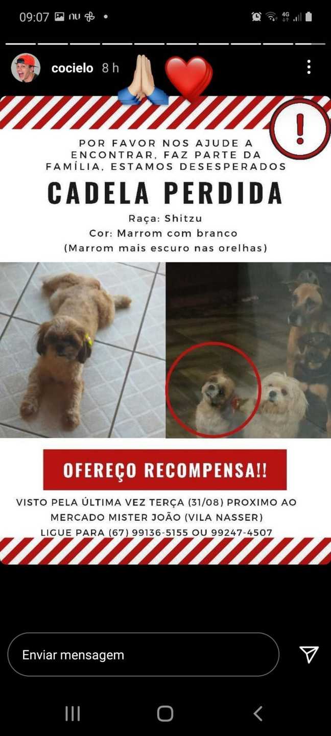 Cadelinha está desaparecida