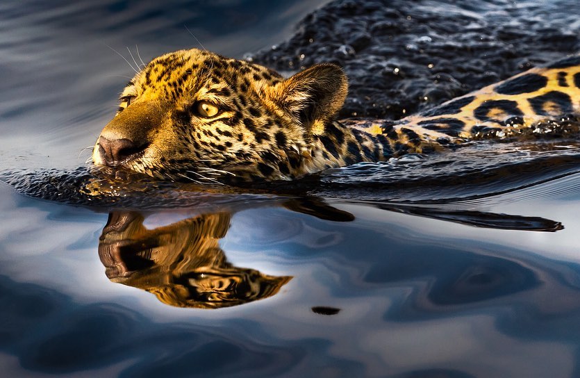 Água no pantanal vem sumindo ao longo dos anos