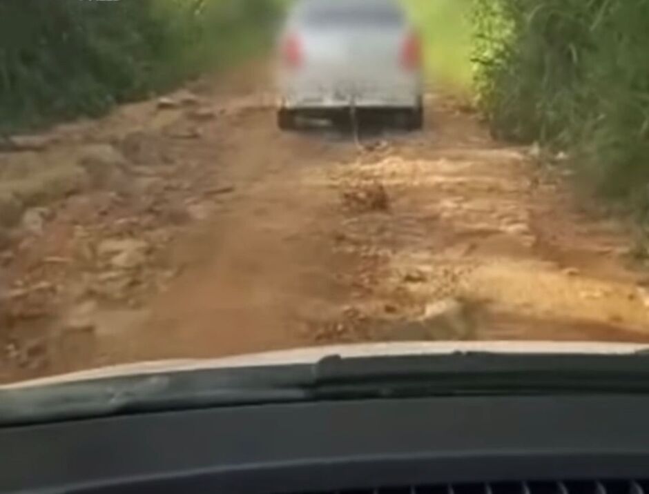 Cachorro foi arrastado em estrada de terra