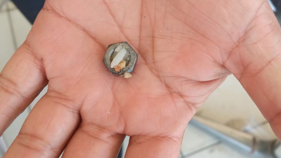 A filha da vítima levou o parafuso para mostrar ao dono do restaurante