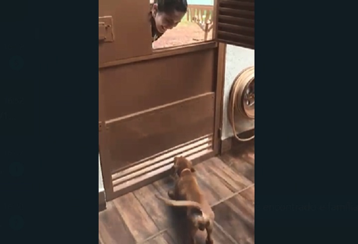 Tobby voltou a dar alegria para a família