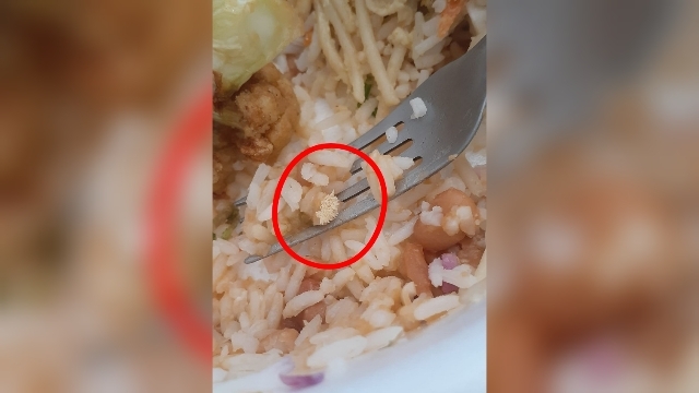 Larvas foram encontradas na marmitex enquanto a cliente almoçava