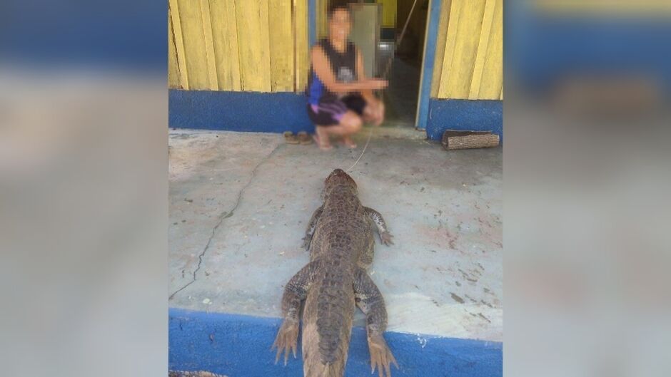 Animal foi encontrado morto pelo dono da fazenda