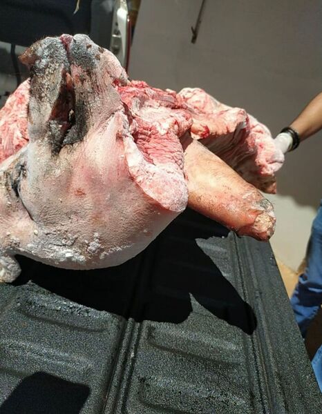 Carnes foram apreendidas em cidades do interior de MS