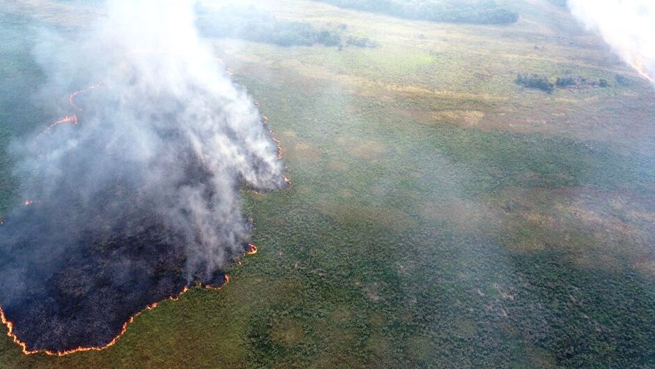 Incêndio está destruíndo o Parque Natural de Naviraí