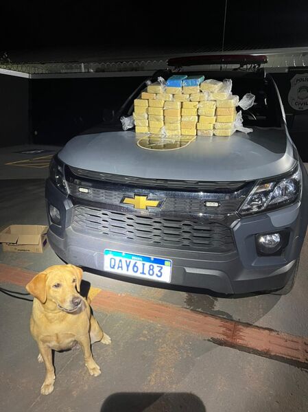 Presidente do bairro São Conrado, Robson foi preso com com 41kg de cocaína