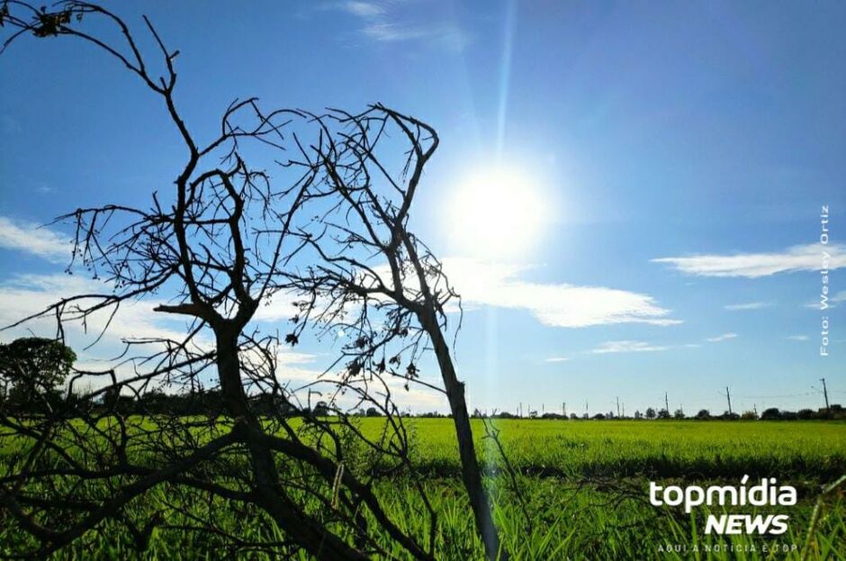 Calor intenso predomina em MS