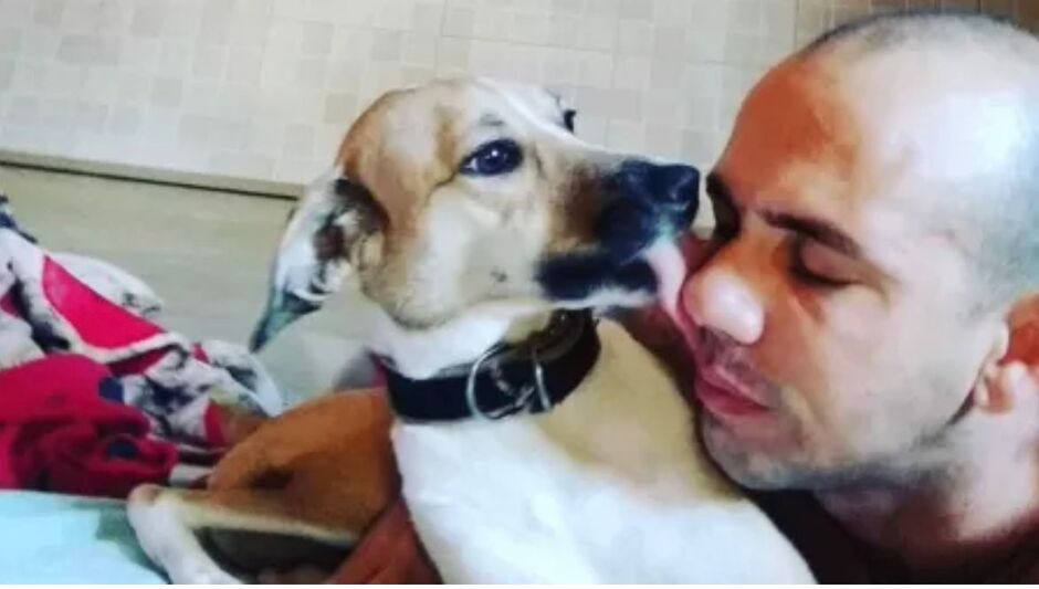 Cachorrinha foi encontrada após ficar 45 dias desaparecida