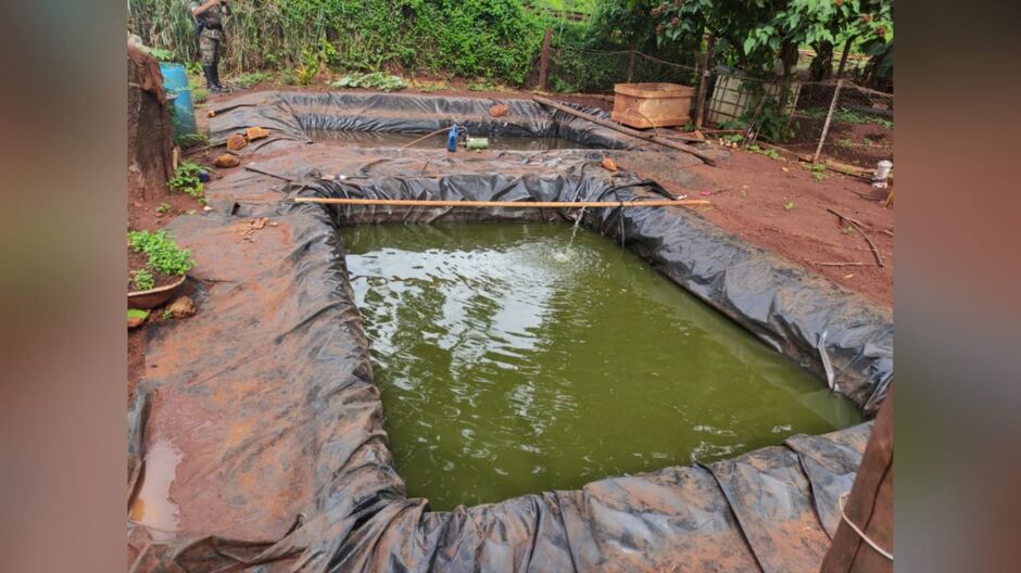 Peixes estavam armazenados em dois tanques