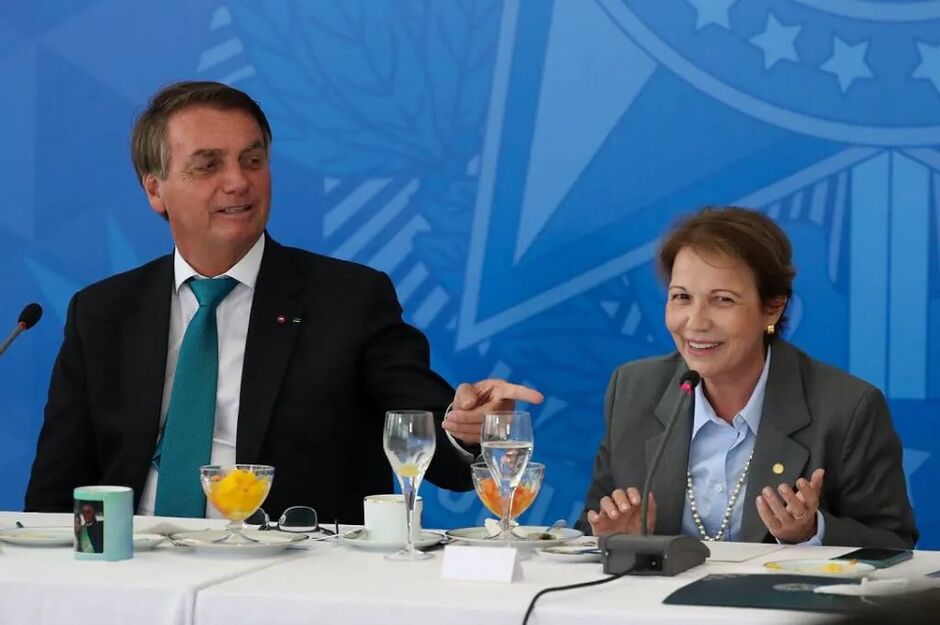 Tereza Cristina deixa ministério e caminha para o Senado 