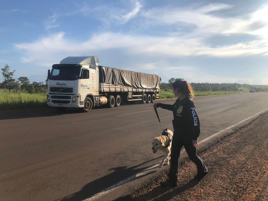 Carga apreendida nesta terça-feira na MS-040