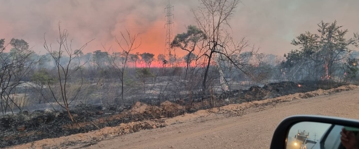 Fogo está destruindo grante parte da vegetação