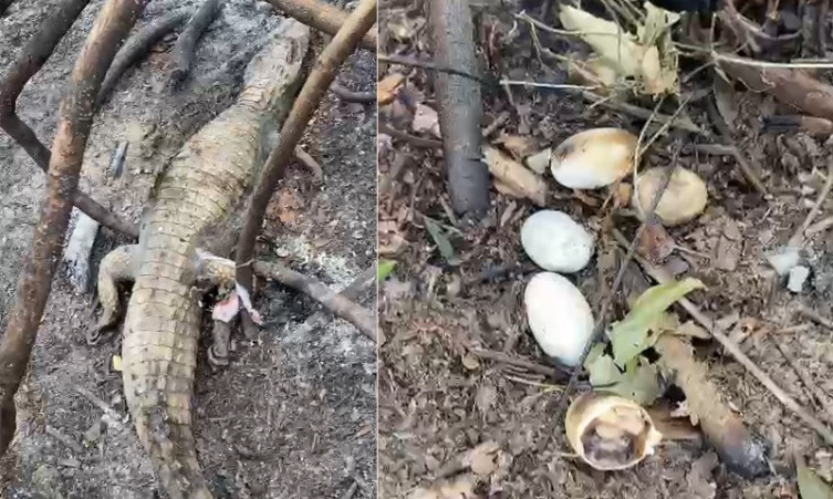 Ovos acabaram cozidos devido às altas temperaturas