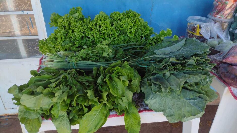 Verduras e legumes são vendidos frescos todos os dias