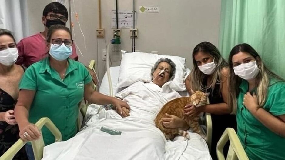 Animal pôde estar ao lado da dona no seu último aniversário