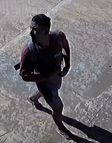 Um dos suspeitos saiu com a gaiola da casa