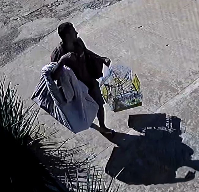Um dos suspeitos saiu com a gaiola da casa