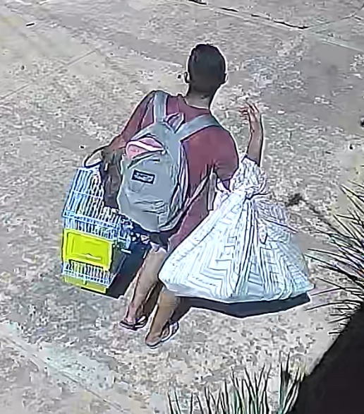 Um dos suspeitos saiu com a gaiola da casa